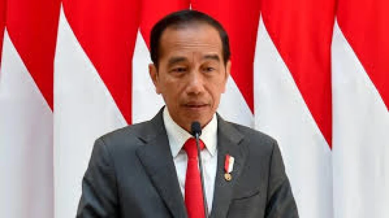 Presiden Jokowi: Menegaskan Pembangunan Indonesiasentris Dorong Kemajuan dan Daya Saing Nasional